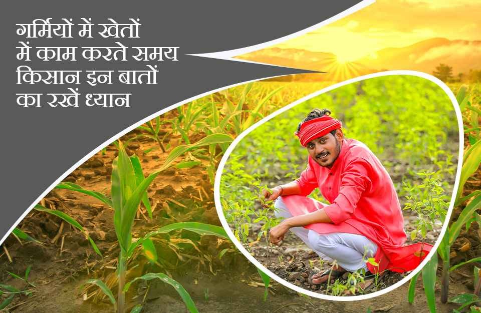 गर्मियों में खेतों में काम करते समय किसान इन बातों का रखें ध्यान